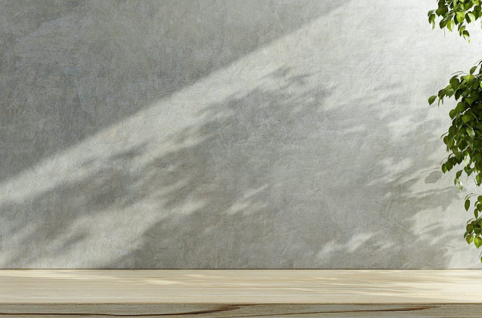 Fondo minimalista con pared de cemento, luz natural y planta verde sobre mesa de madera clara
